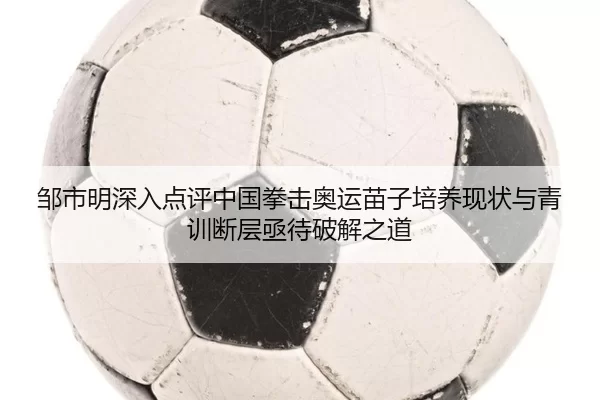 邹市明深入点评中国拳击奥运苗子培养现状与青训断层亟待破解之道